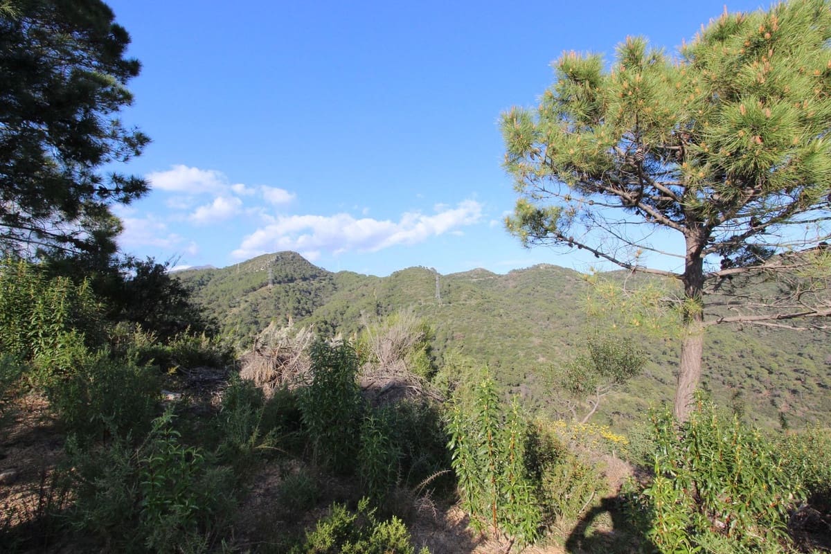 Building Plot for sale in Benahavis - € 750,000 (Ref: 9684357)