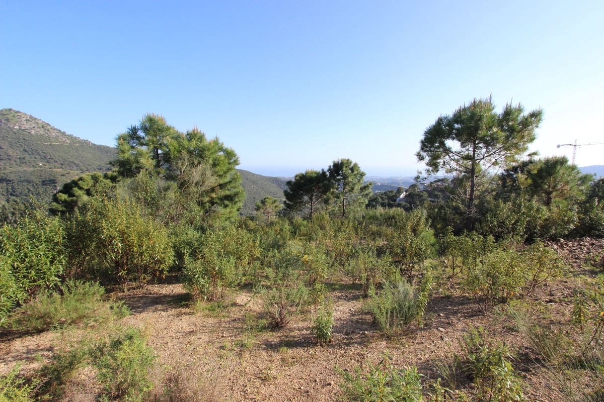Bouwgrond te koop in Benahavis - € 750.000 (Ref: 9684357)