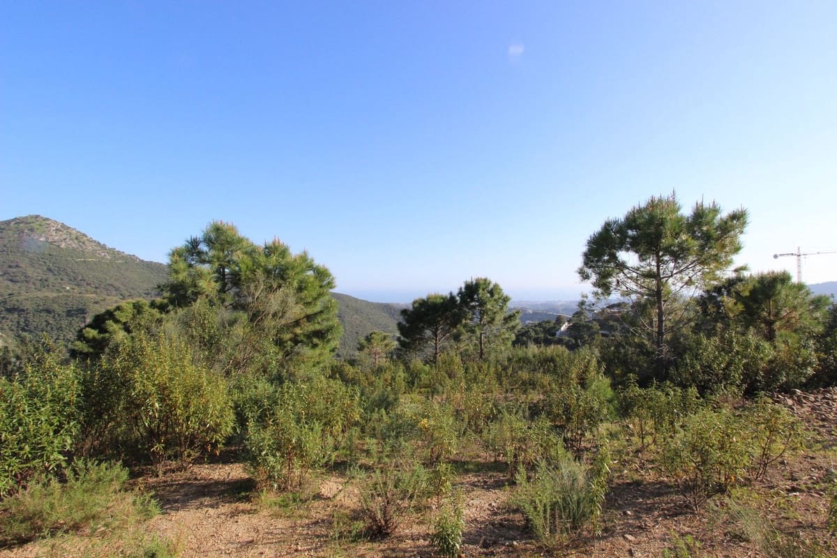 Bouwgrond te koop in Benahavis - € 750.000 (Ref: 9684357)
