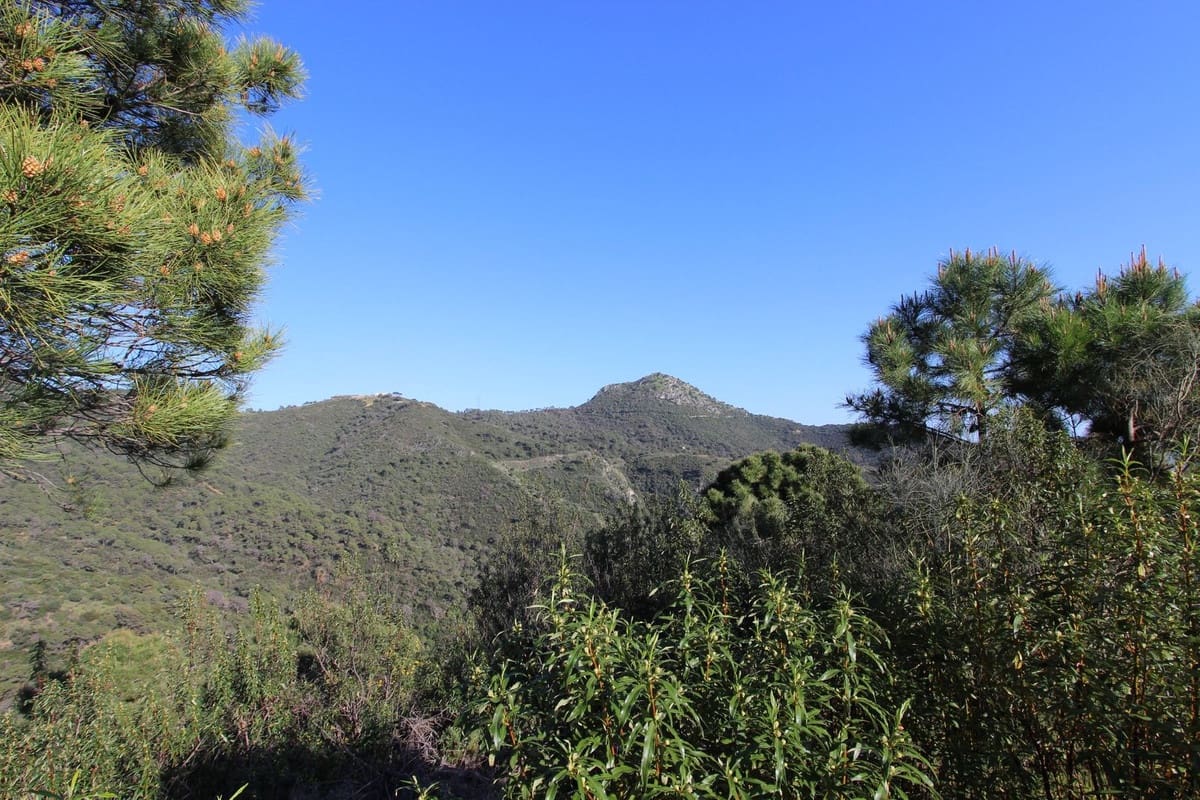 Bouwgrond te koop in Benahavis - € 750.000 (Ref: 9684357)