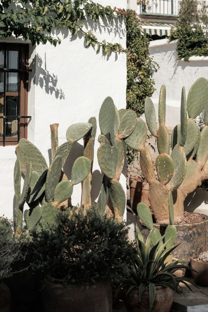 2 bedroom Townhouse for sale in Marbella with pool - € 795,000 (Ref: 9494778)