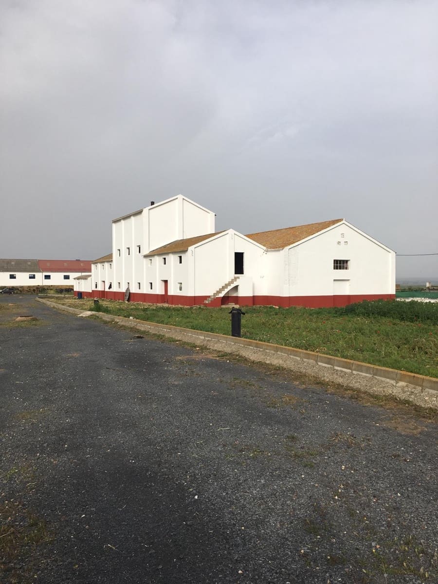 Byggetomt til salgs i Villalba del Alcor - € 690 000 (Ref: 9494837)