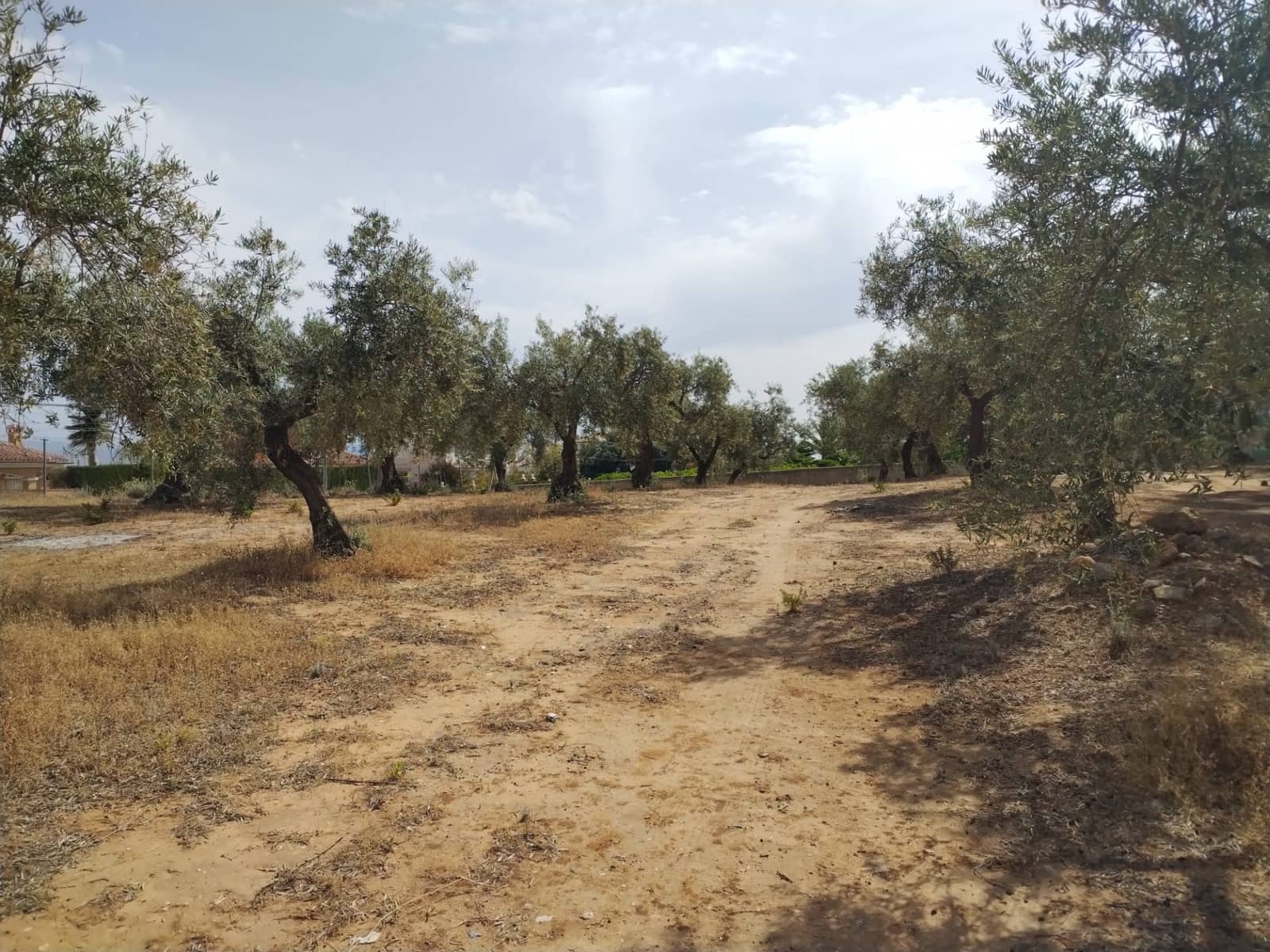 Terrain à Bâtir à vendre à Alhaurin de la Torre - 1 495 000 € (Ref: 9604700)