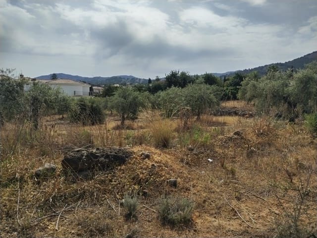 Terrain à Bâtir à vendre à Alhaurín de la Torre - 1 495 000 € (Ref: 9604700)