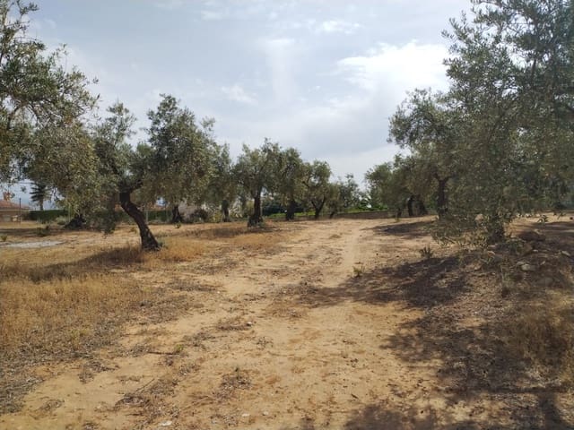 Terrain à Bâtir à vendre à Alhaurín de la Torre - 1 495 000 € (Ref: 9604700)