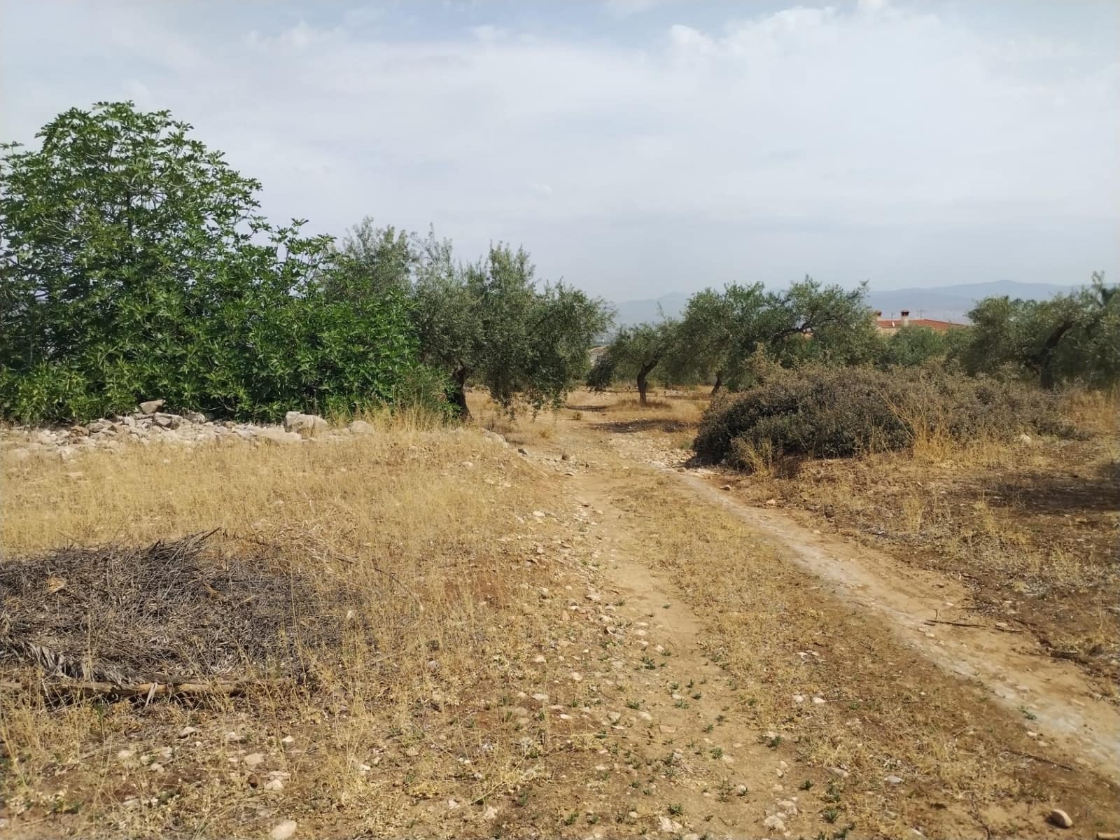 Terrain à Bâtir à vendre à Alhaurin de la Torre - 1 495 000 € (Ref: 9604700)