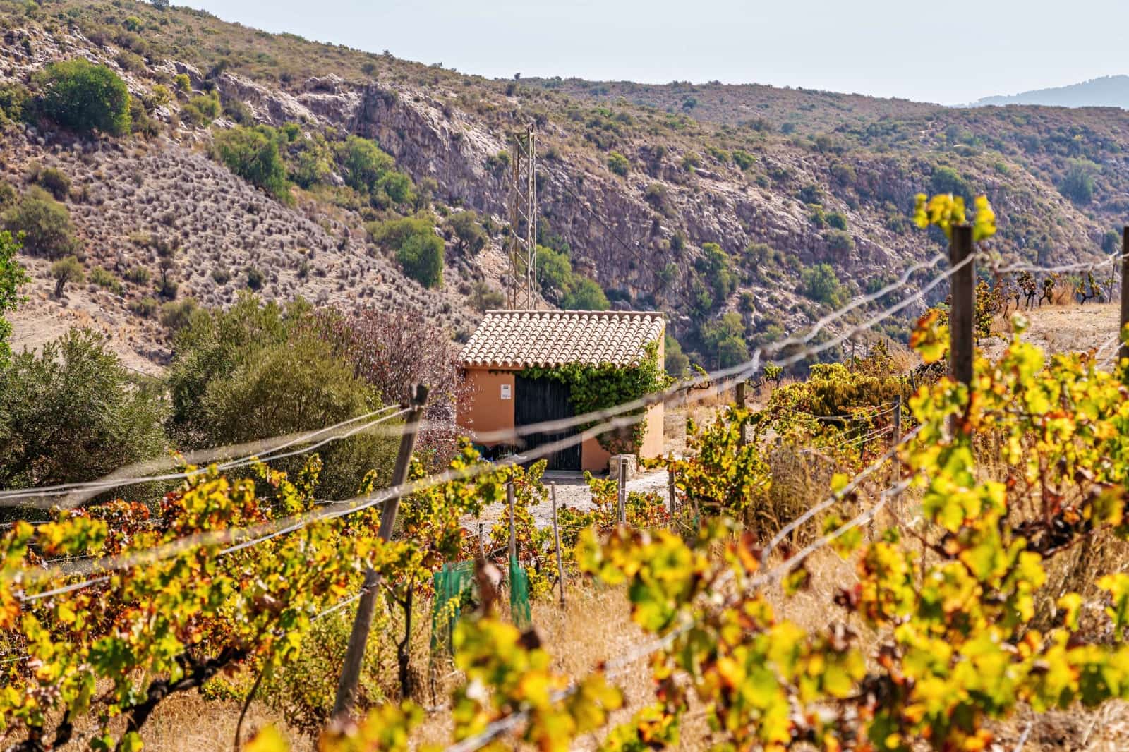 2 makuuhuone Huoneisto myytävänä paikassa Malaga kaupunki mukana uima-altaan 
autotalli - 770 000 € (Ref: 9615242)