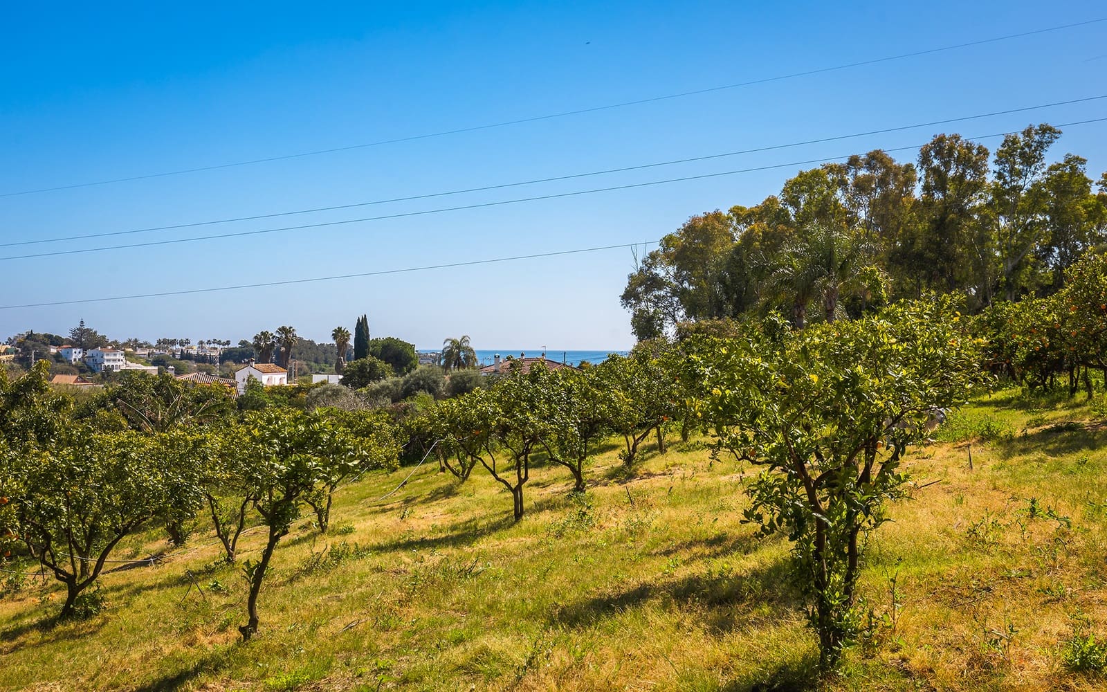 4 chambre Finca/Maison de Campagne à vendre à El Padron avec piscine garage - 2 250 000 € (Ref: 9694893)
