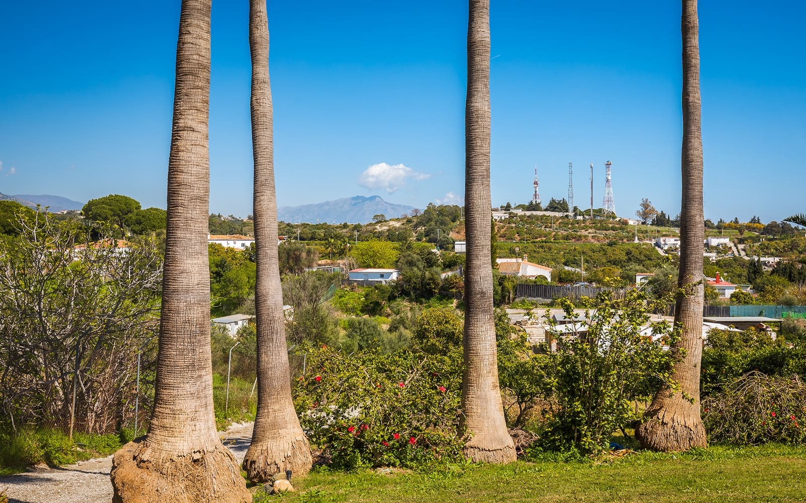 4 chambre Finca/Maison de Campagne à vendre à El Padron avec piscine garage - 2 250 000 € (Ref: 9694893)