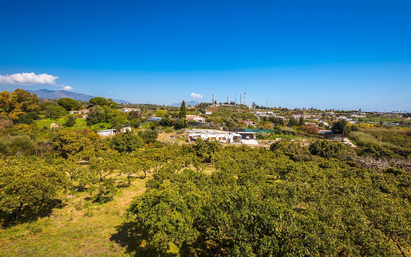 4 chambre Finca/Maison de Campagne à vendre à El Padron avec piscine garage - 2 250 000 € (Ref: 9694893)