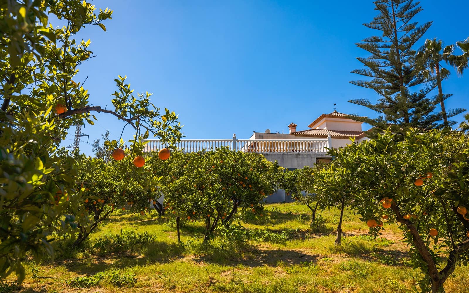 Finca/Casa Rural de 4 habitaciones en El Padrón en venta con piscina garaje - 1.960.000 € (Ref: 9694893)