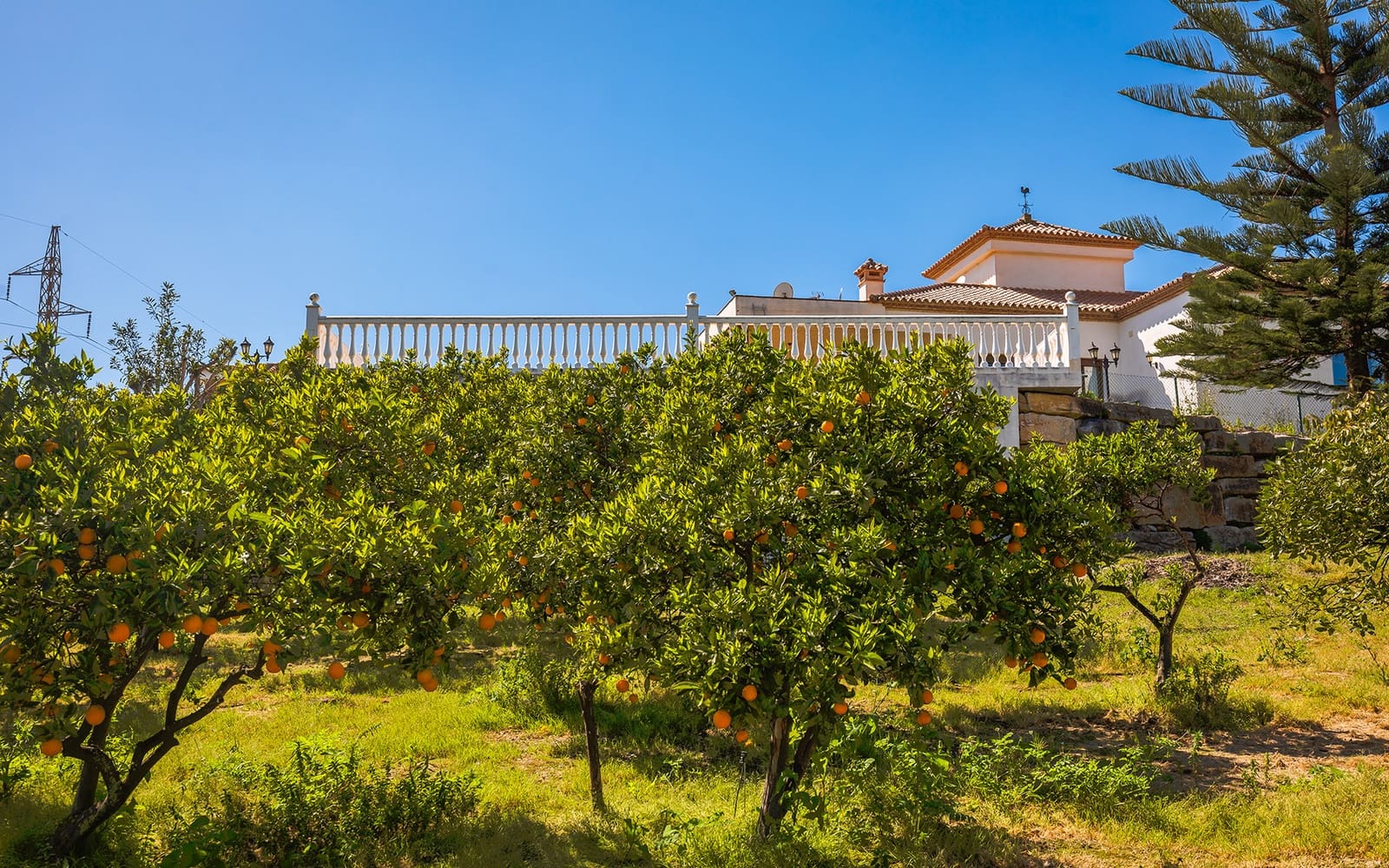 Finca/Casa Rural de 4 habitaciones en El Padrón en venta con piscina garaje - 1.960.000 € (Ref: 9694893)