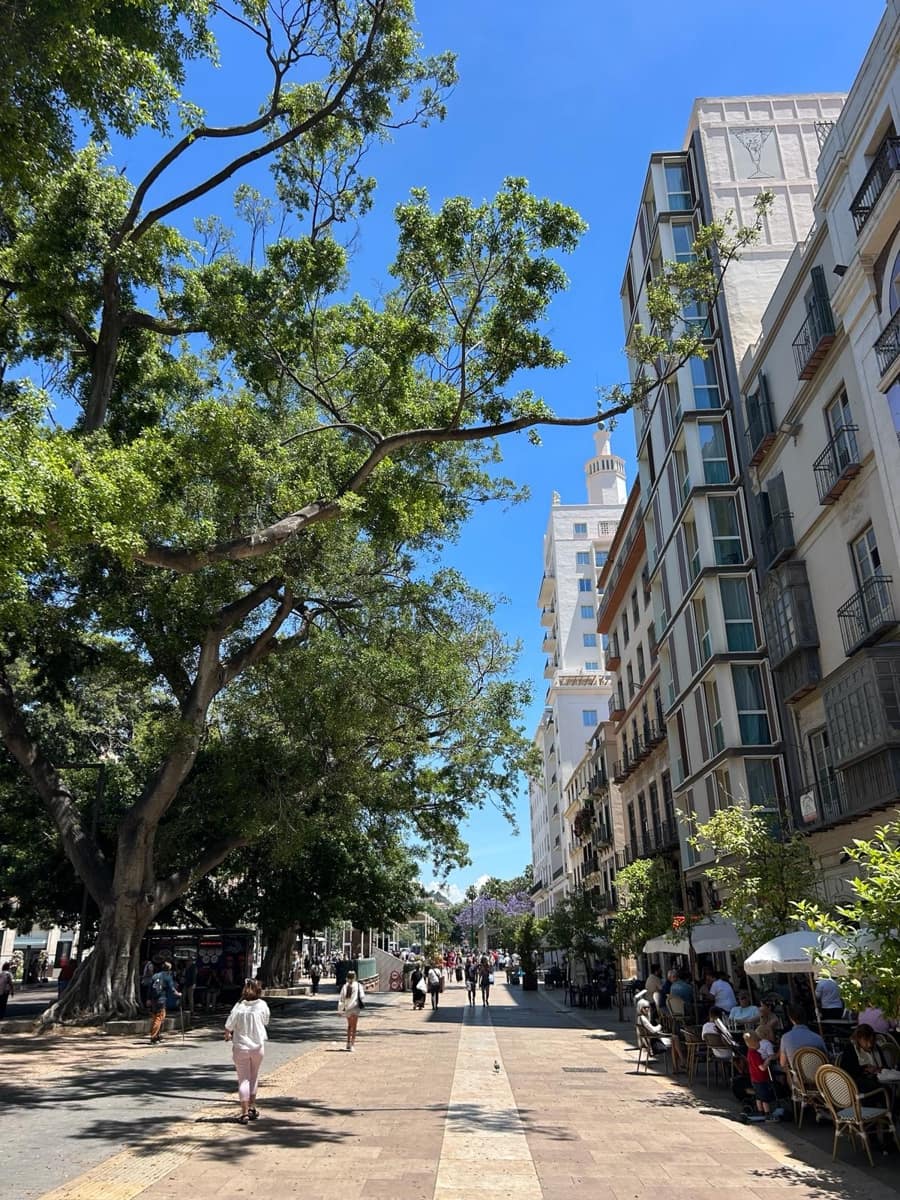 3 slaapkamer Appartement te koop in Malaga stad - € 565.000 (Ref: 9804199)