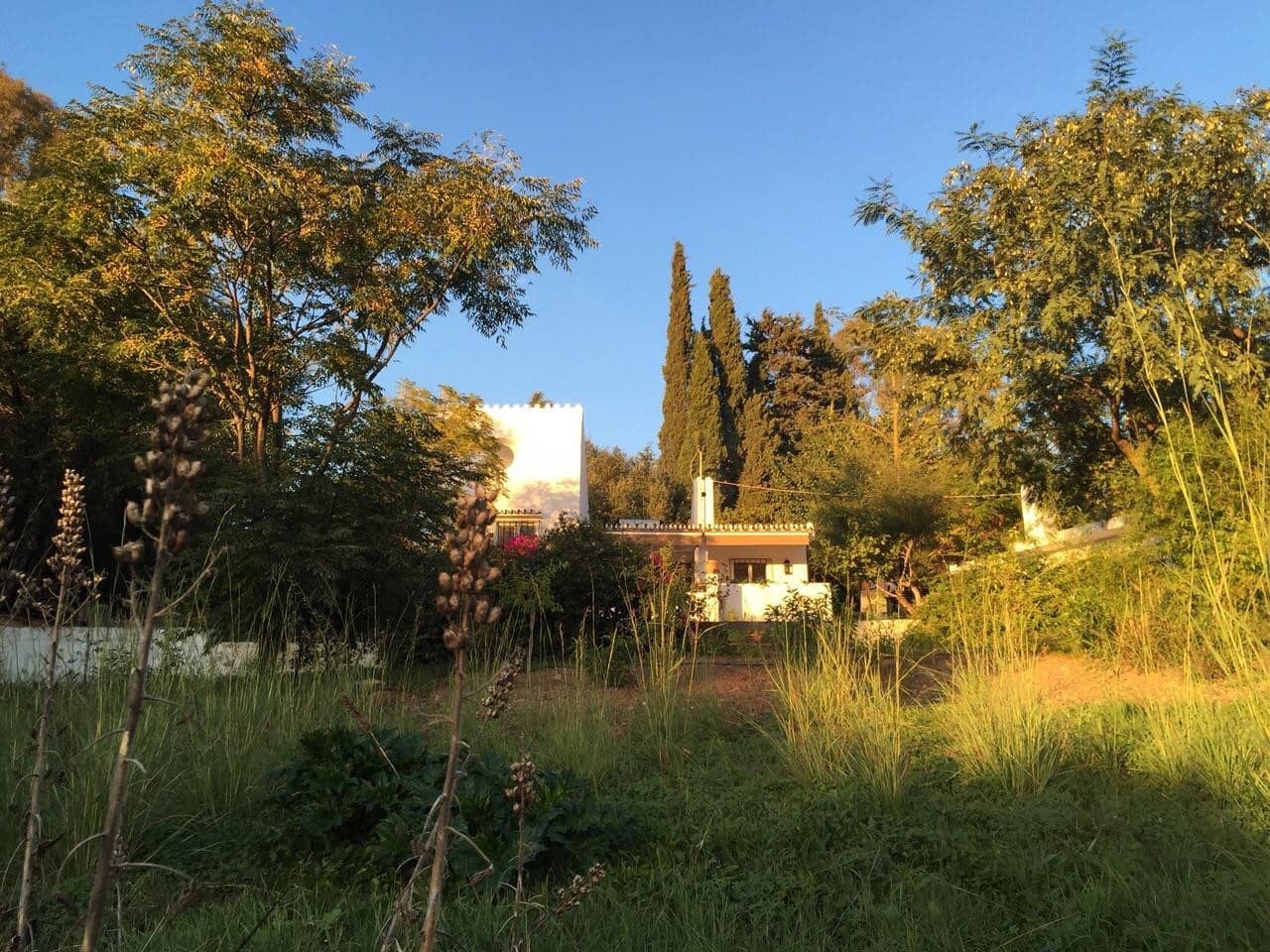 3 soverom Finca/Herregård til salgs i El Padron med svømmebasseng garasje - € 795 000 (Ref: 9822487)