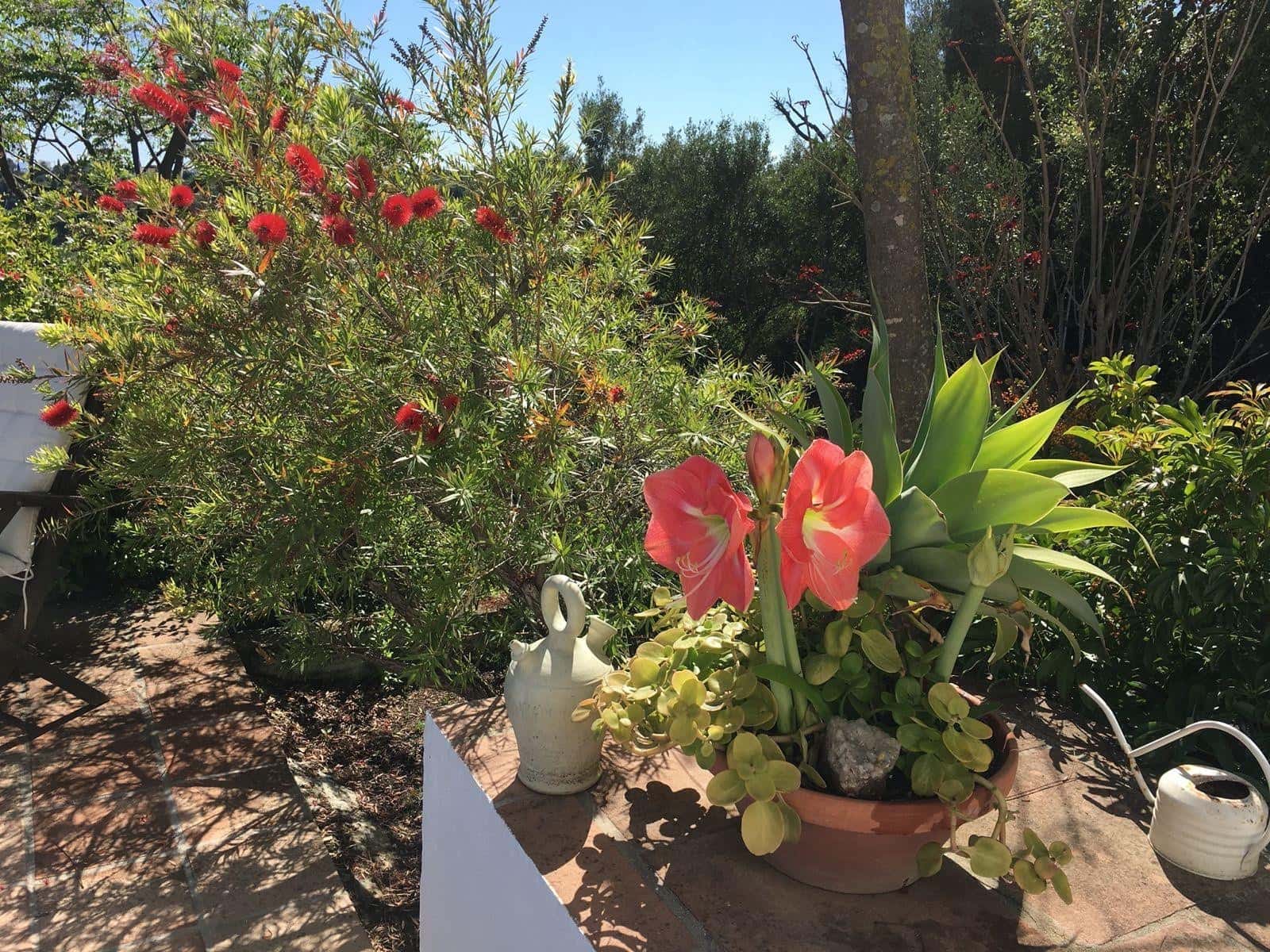 3 soverom Finca/Herregård til salgs i El Padron med svømmebasseng garasje - € 795 000 (Ref: 9822487)