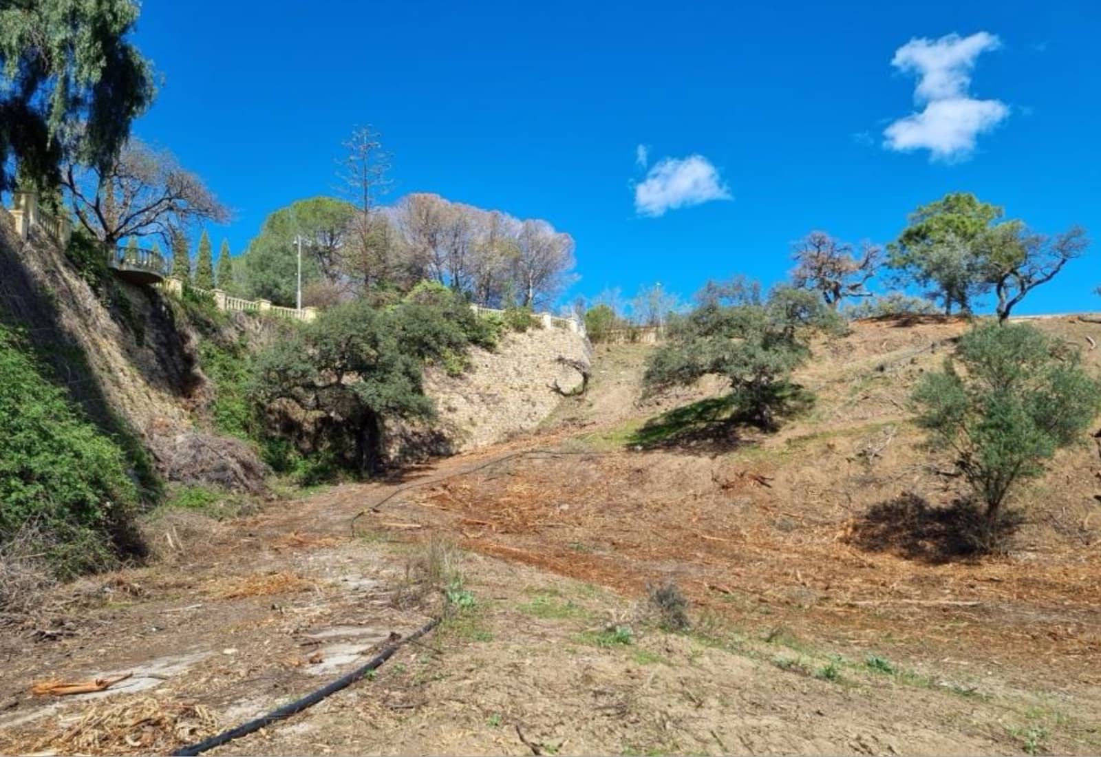 Building Plot for sale in El Madronal - € 17,000,000 (Ref: 9843301)