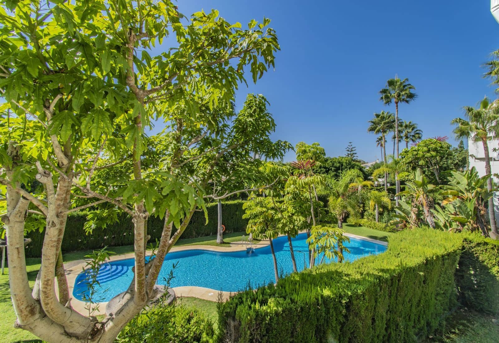 3 soveværelse Lejlighed til salg i Guadalmina med swimmingpool garage - € 559.000 (Ref: 8207640)