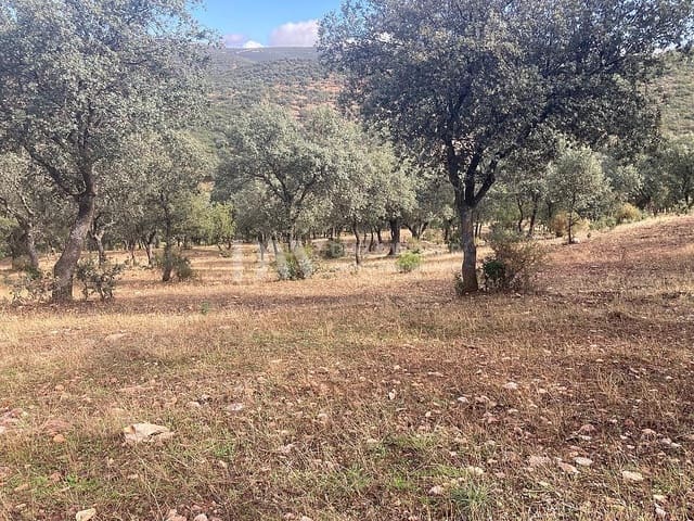 Rakentamaton maa myytävänä paikassa Puertollano - 950 000 € (Ref: 8930491)