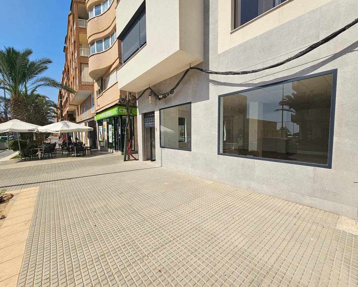 1 sypialnia Biznes do wynajęcia w Elche / Elx - 800 € (Ref: 9403606)