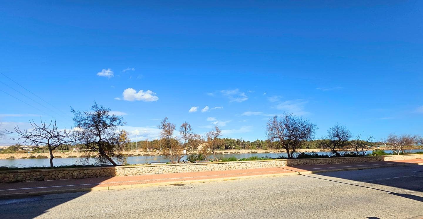 2 soveværelse Lejlighed til leje i Guardamar del Segura med swimmingpool garage - € 650 (Ref: 9573673)