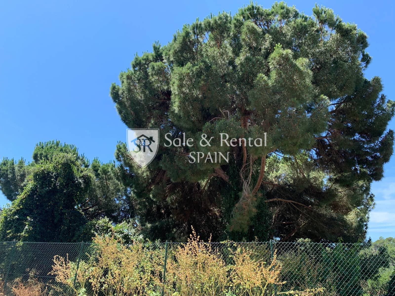 Grunde uden byggetilladelser til salg i Lloret de Mar - € 250.000 (Ref: 5366584)