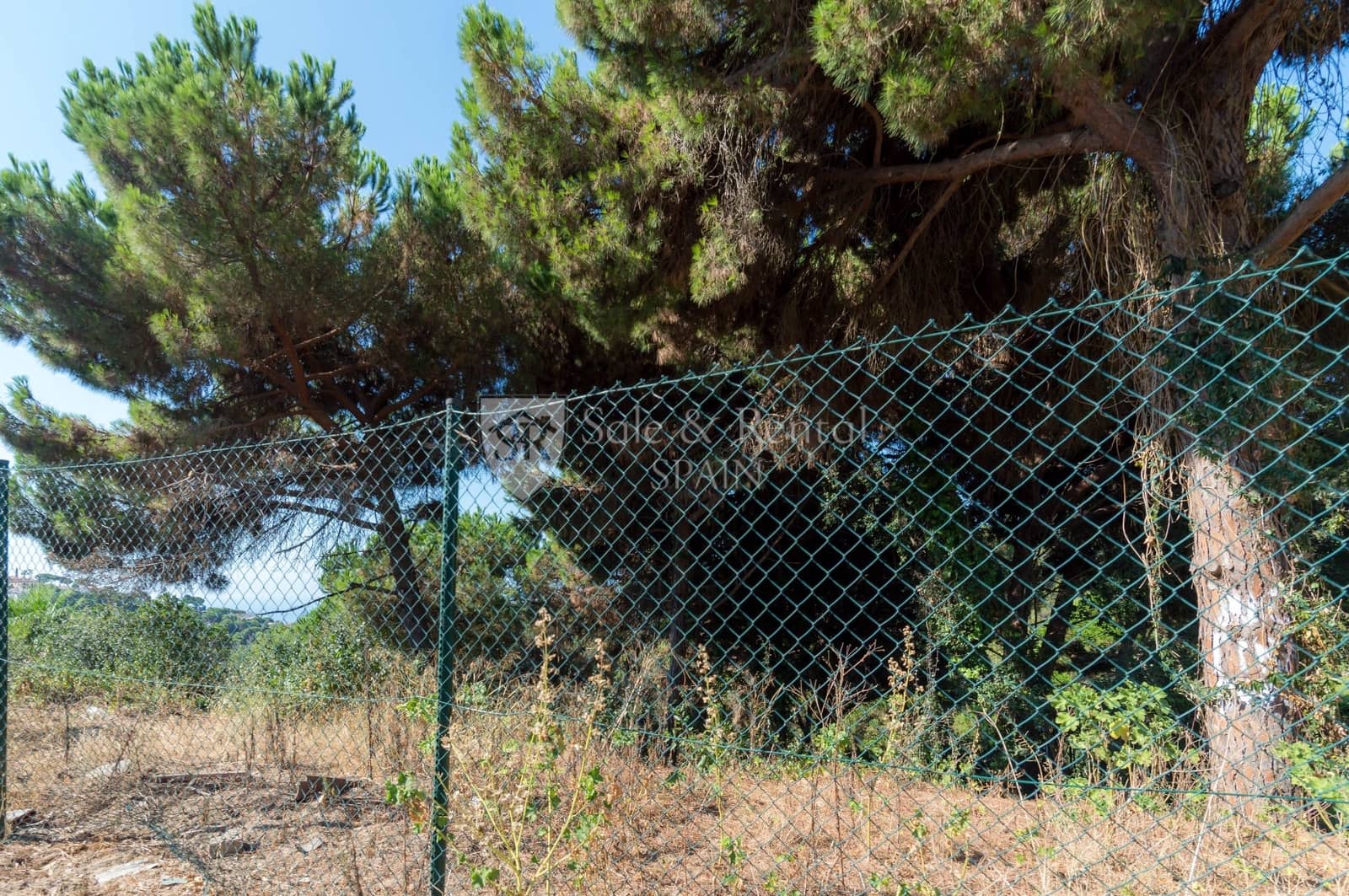 Grunde uden byggetilladelser til salg i Lloret de Mar - € 250.000 (Ref: 5366584)