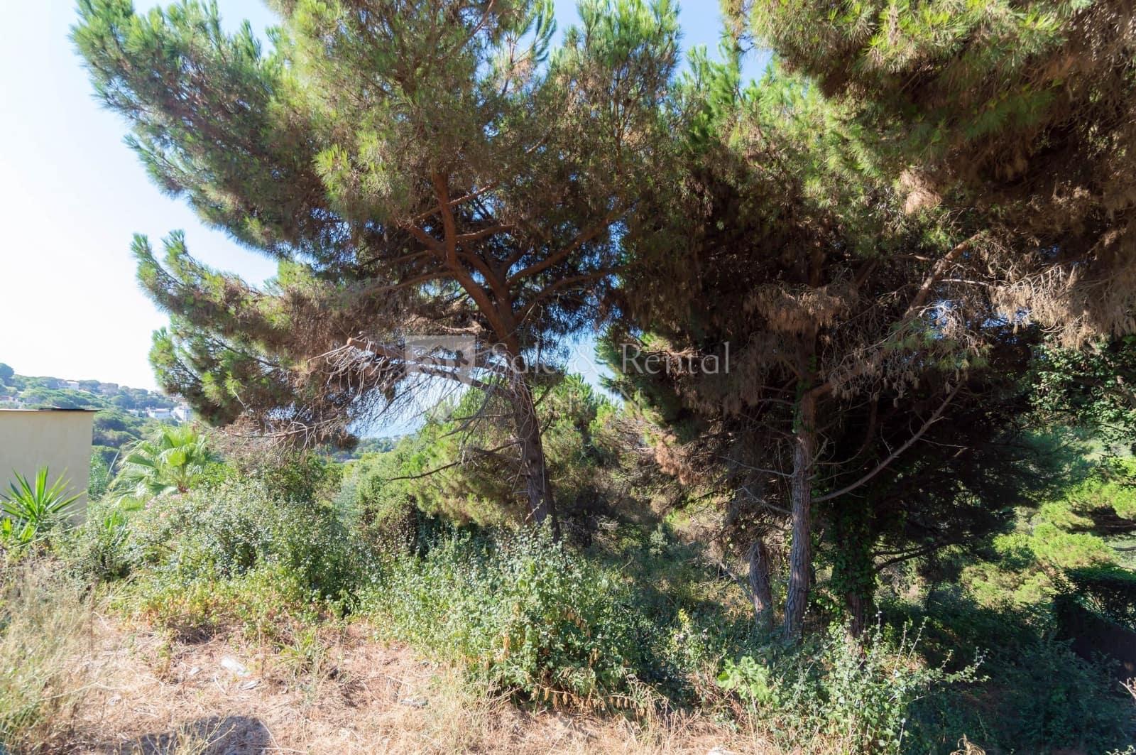 Grunde uden byggetilladelser til salg i Lloret de Mar - € 250.000 (Ref: 5366584)