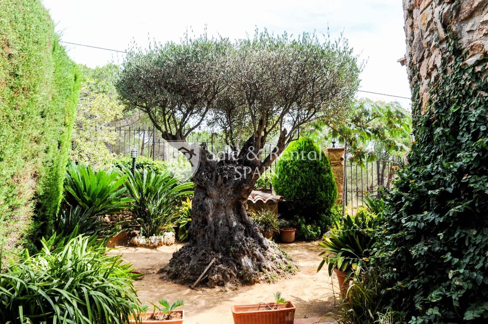 4 soveværelse Villa til salg i Blanes med swimmingpool garage - € 800.000 (Ref: 6019586)