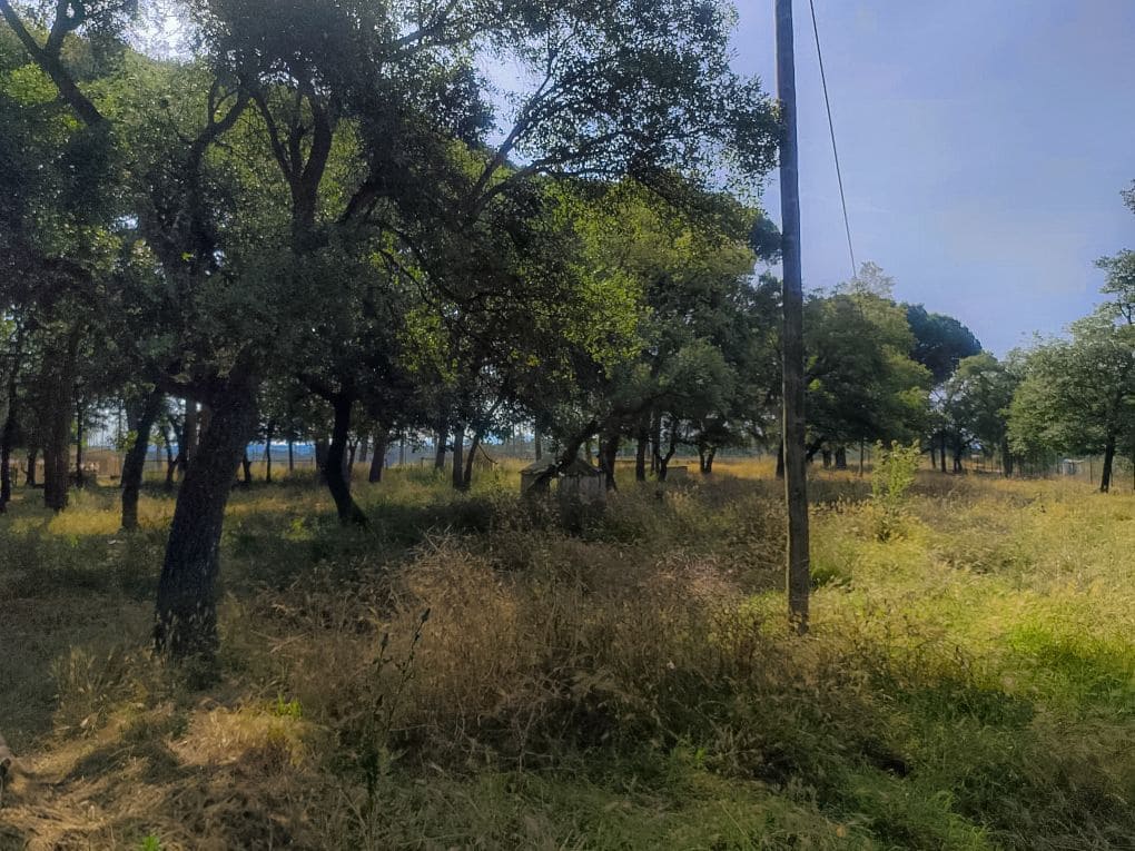 5 soveværelse Villa til salg i Caldes de Malavella med swimmingpool garage - € 875.000 (Ref: 9064916)