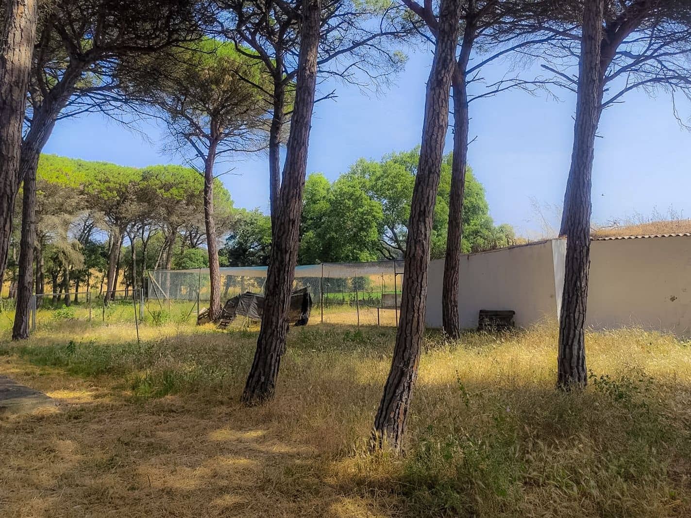 5 soveværelse Villa til salg i Caldes de Malavella med swimmingpool garage - € 875.000 (Ref: 9064916)