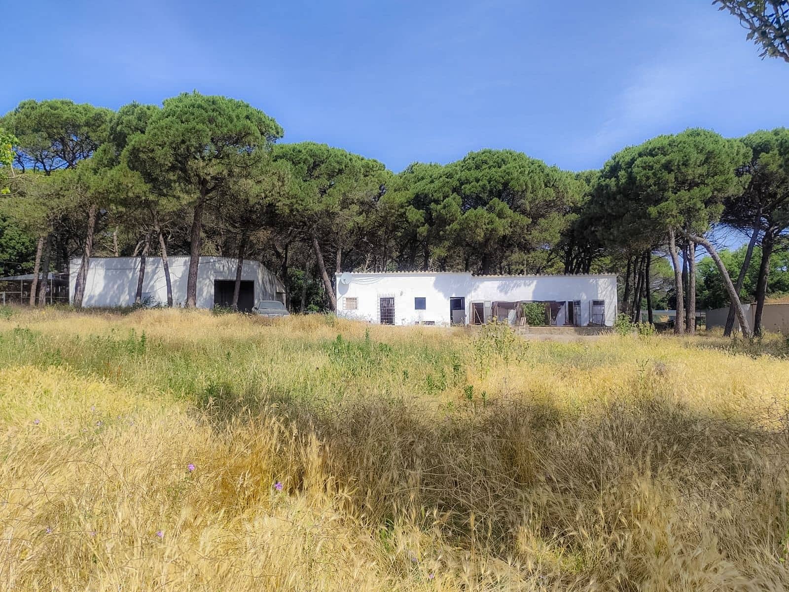 5 soveværelse Villa til salg i Caldes de Malavella med swimmingpool garage - € 875.000 (Ref: 9064916)