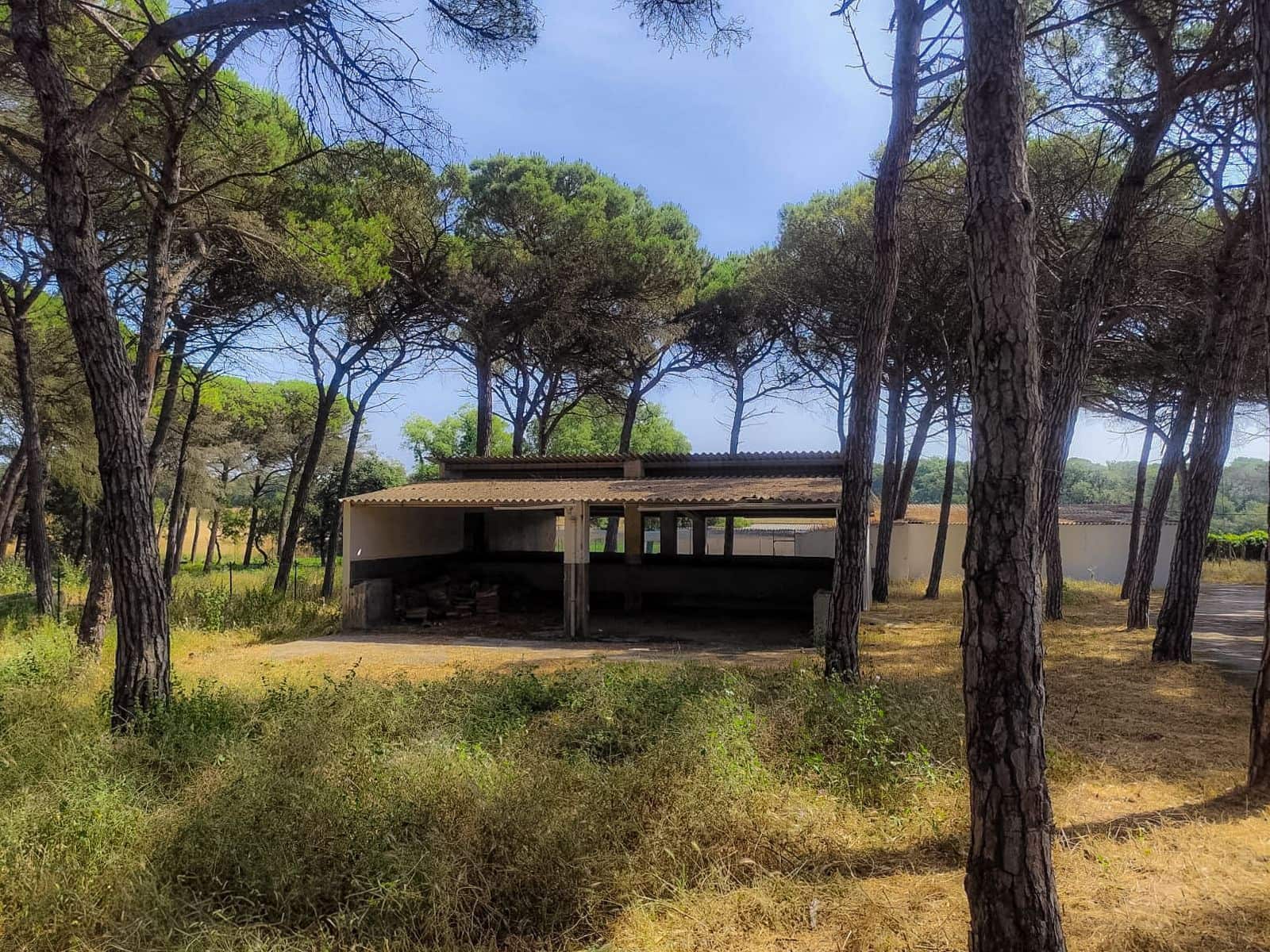 5 soveværelse Villa til salg i Caldes de Malavella med swimmingpool garage - € 875.000 (Ref: 9064916)