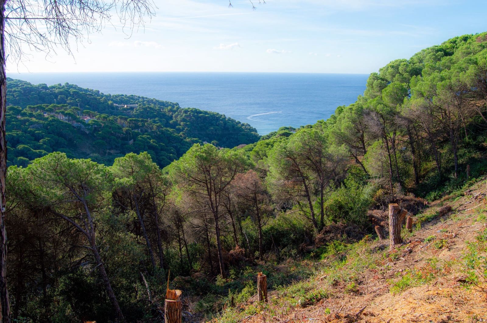 Grunde uden byggetilladelser til salg i Lloret de Mar - € 139.000 (Ref: 9100456)