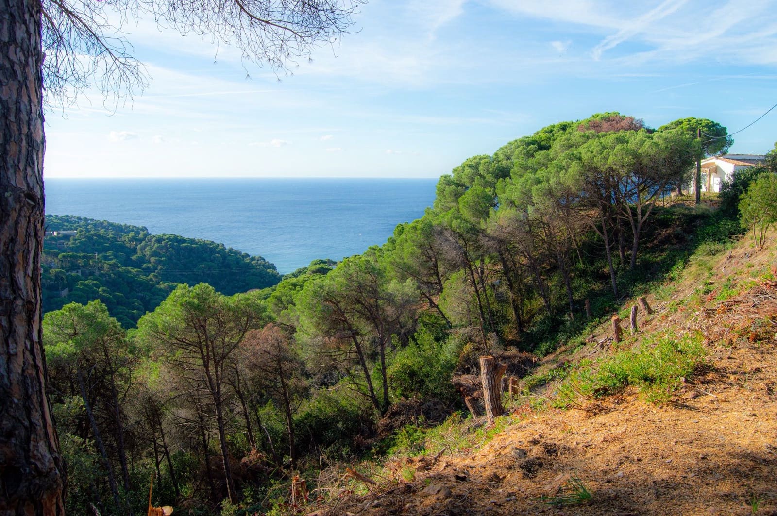 Grunde uden byggetilladelser til salg i Lloret de Mar - € 139.000 (Ref: 9100456)