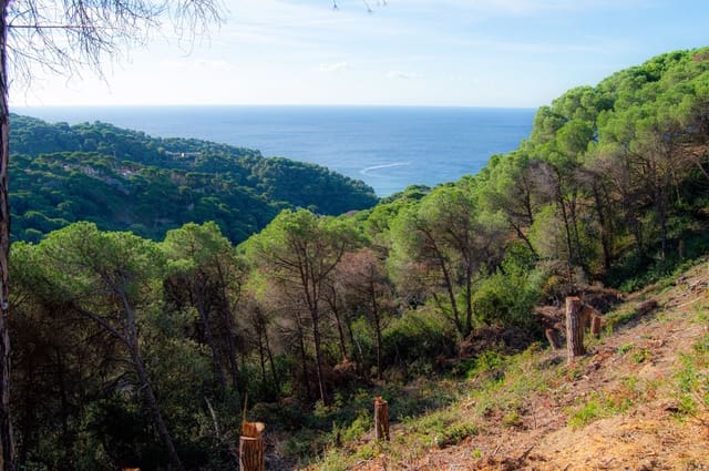 Undeveloped Land for sale in Serra Brava, Lloret de Mar - € 139,000 (Ref: 9100456)