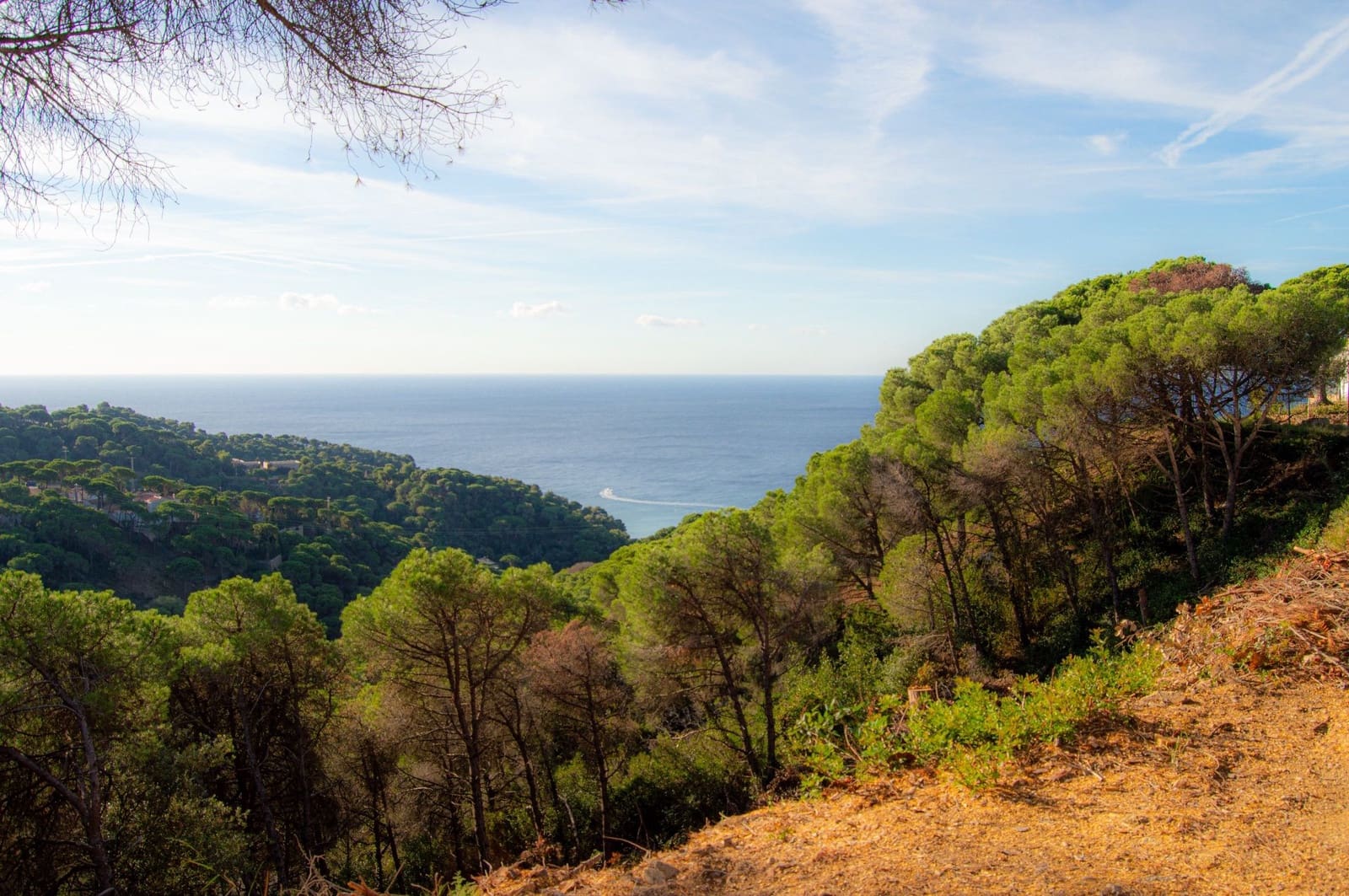 Grunde uden byggetilladelser til salg i Lloret de Mar - € 99.000 (Ref: 9100458)