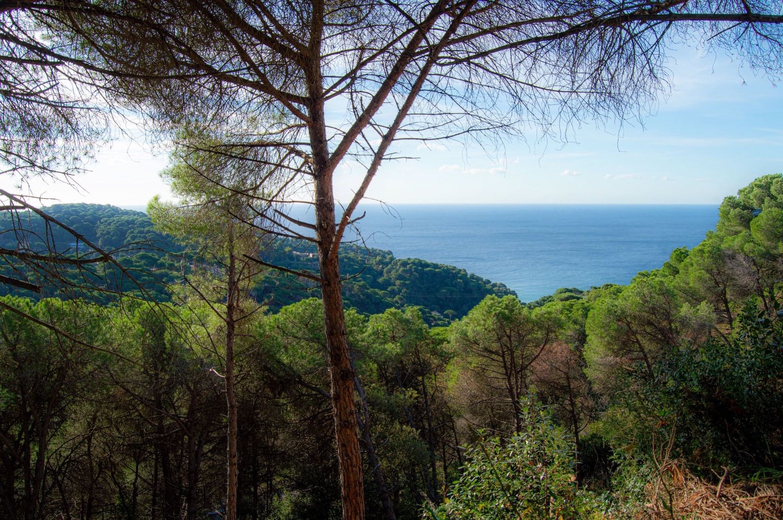 Grunde uden byggetilladelser til salg i Lloret de Mar - € 99.000 (Ref: 9100458)