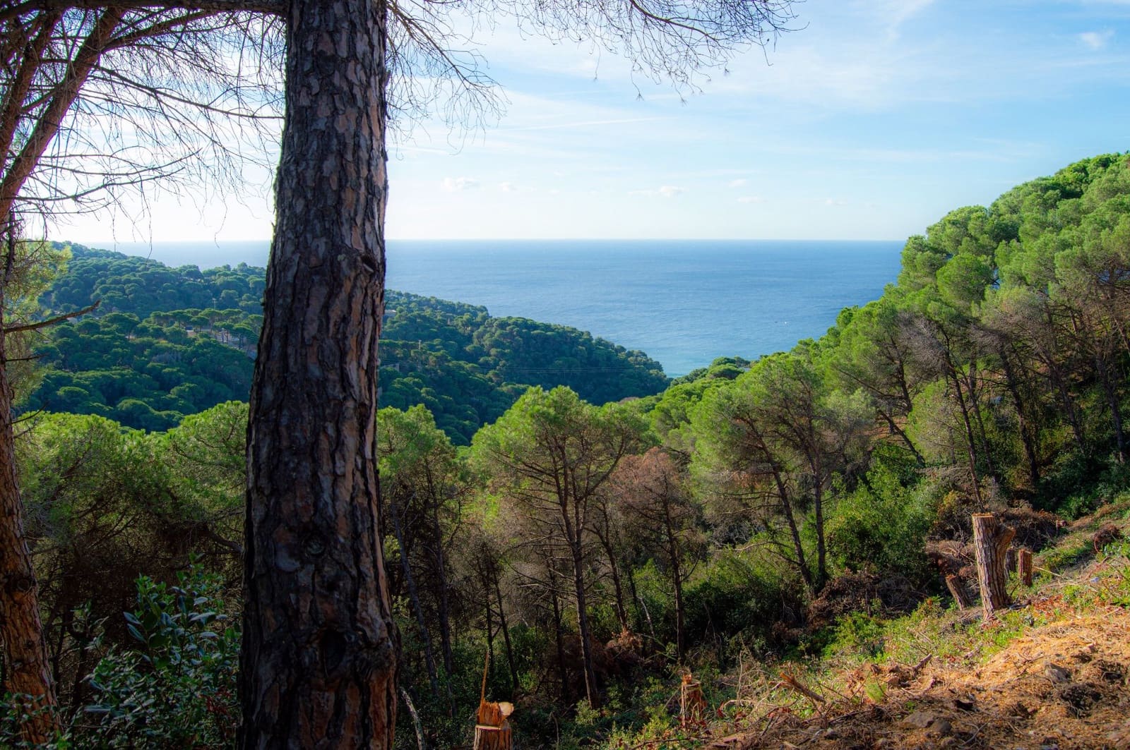 Grunde uden byggetilladelser til salg i Lloret de Mar - € 99.000 (Ref: 9100458)
