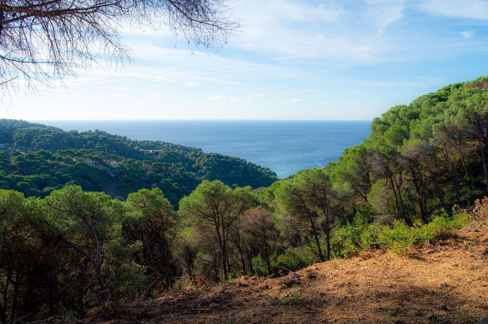 Grunde uden byggetilladelser til salg i Lloret de Mar - € 99.000 (Ref: 9100458)