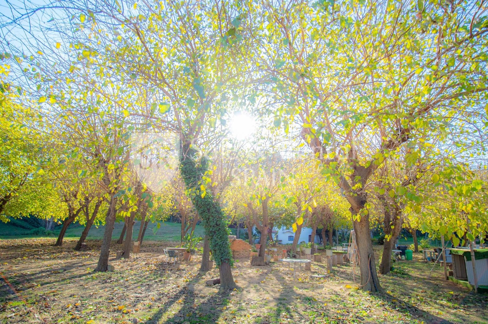 4 quarto Moradia para venda em Sant Pol de Mar - 849 000 € (Ref: 9421821)