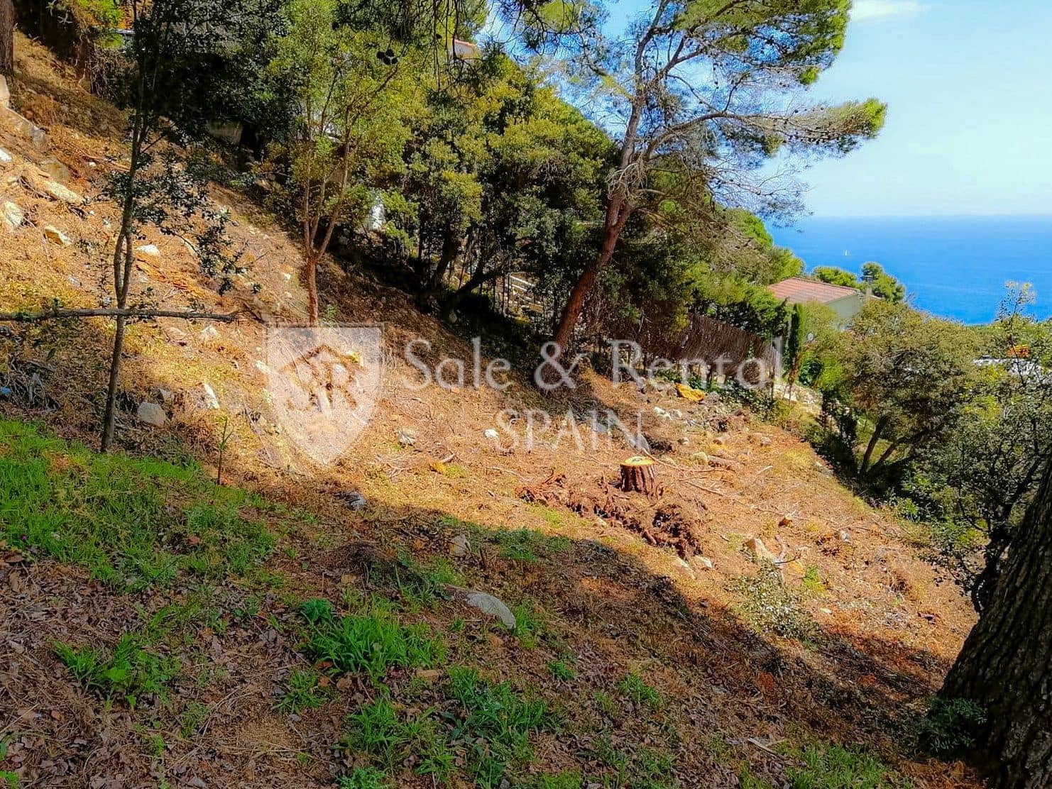 Terreno Non Edificato in vendita in Blanes - 490.000 € (Rif: 9461035)
