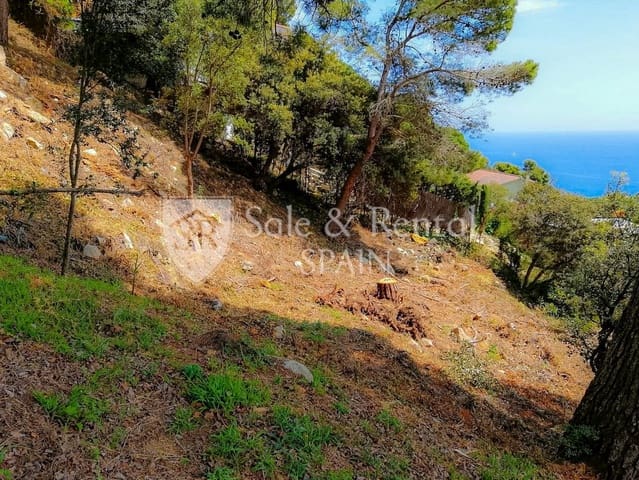 Teren niezagospodarowany na sprzedaż w Blanes - 490 000 € (Ref: 9461035)