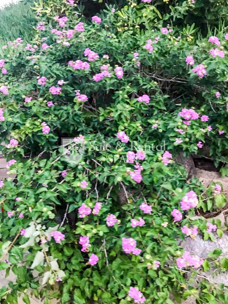 4 slaapkamer Villa te koop in Lloret de Mar met zwembad garage - € 795.000 (Ref: 9526057)