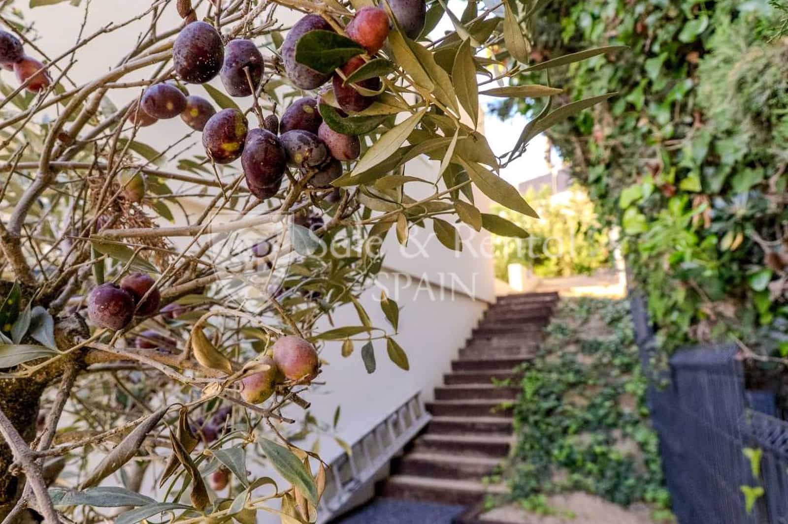 Chalet de 3 habitaciones en Lloret de Mar en venta con piscina garaje - 1.350.000 € (Ref: 9850870)