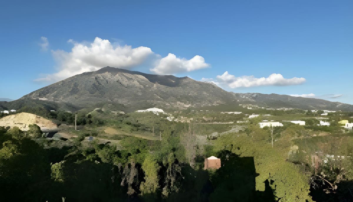 5 bedroom Villa for rent in Golden Mile with pool garage - € 17,000 (Ref: 9628073)