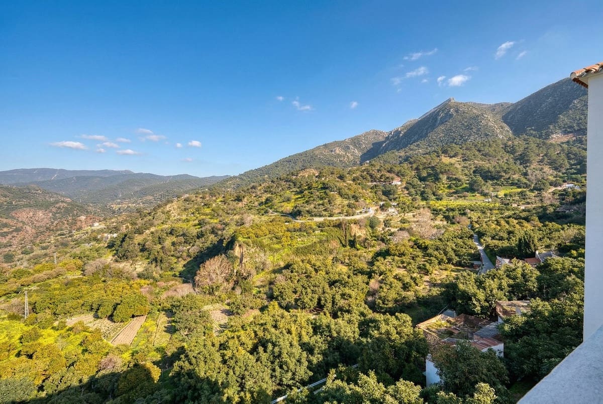 4 bedroom Villa for sale in Istan - € 1,490,000 (Ref: 9681428)