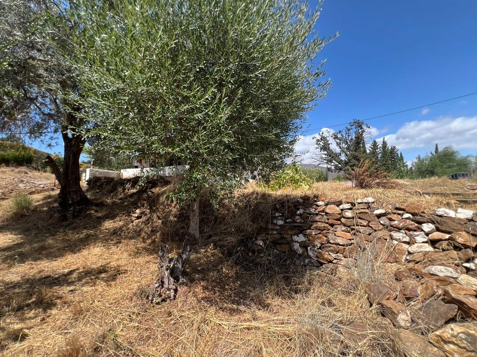 1 makuuhuone Maalaistalo myytävänä paikassa Mijas Golf - 395 000 € (Ref: 10027457)