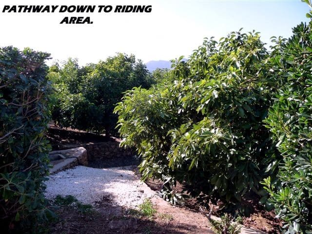 4 bedroom Villa for sale in Coin - € 1,950,000 (Ref: 9679992)