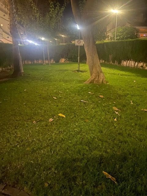 1 bedroom Apartment for sale in Torre de la Horadada with pool - € 99,000 (Ref: 9127949)