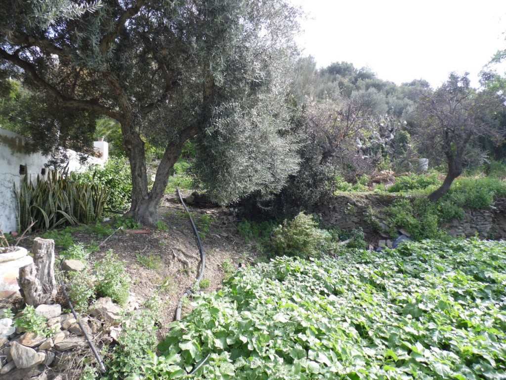 3 soverom Finca/Herregård til salgs i Rincon de la Victoria - € 399 900 (Ref: 3600979)